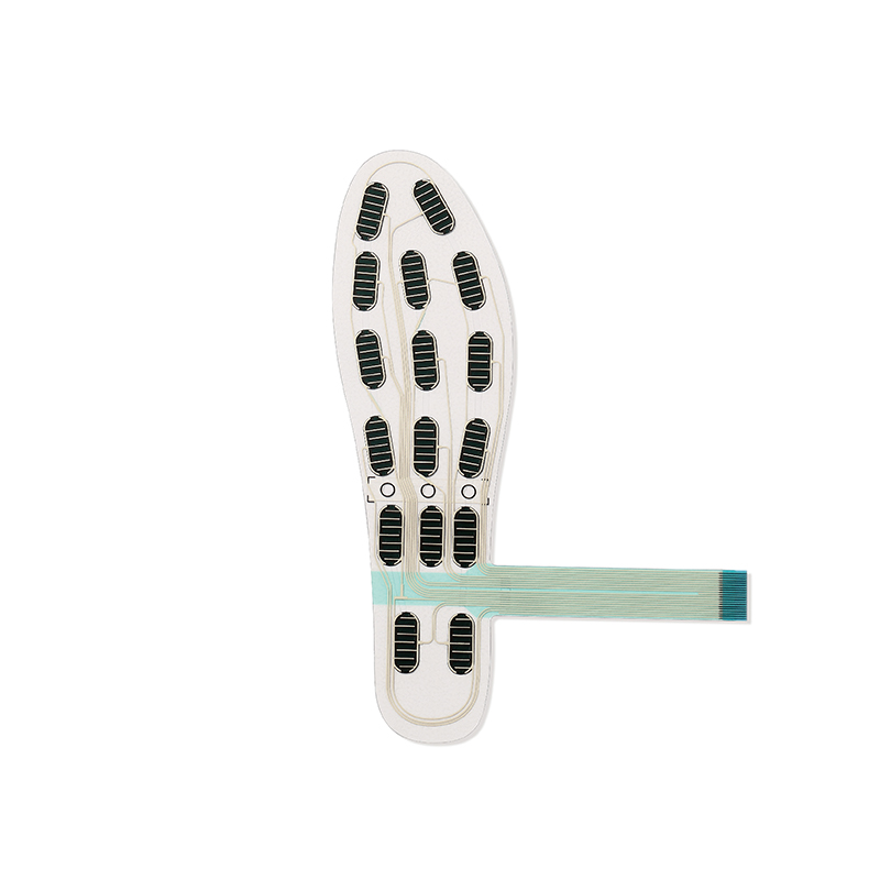 FS-INS-16Z Legact Wearable Sma - Smart Insole Pressure 리뷰 및 가격