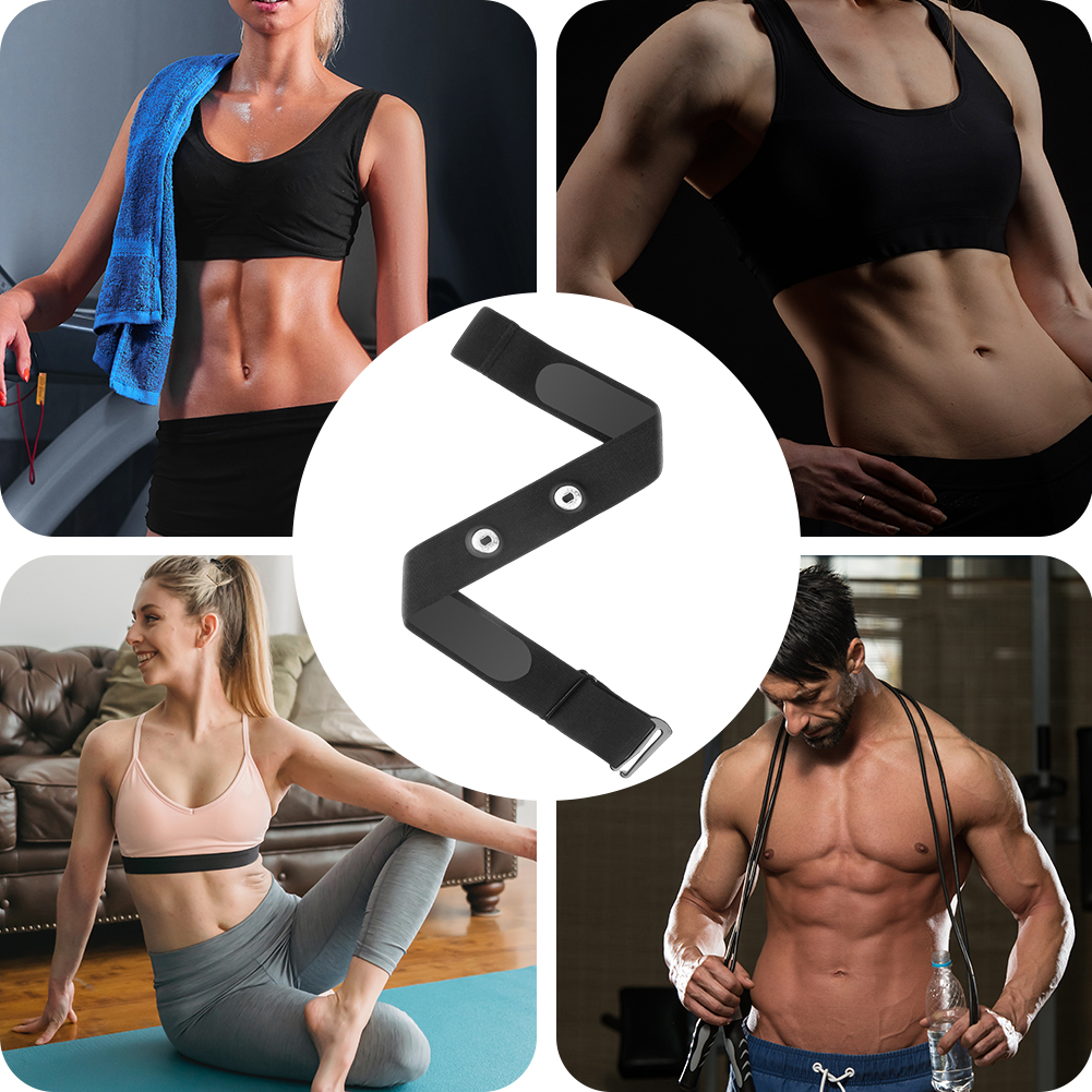 Replacement Heart Rate Sensor  - Breath Rate Monitor 리뷰 및 가격