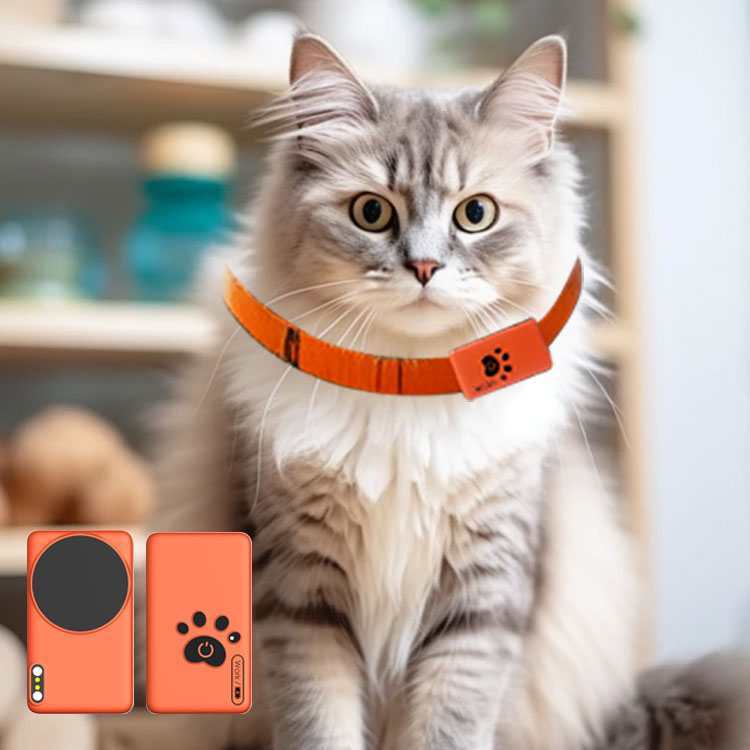 AI Wearable Pet Health Monitor - Breath Rate Monitor 리뷰 및 가격